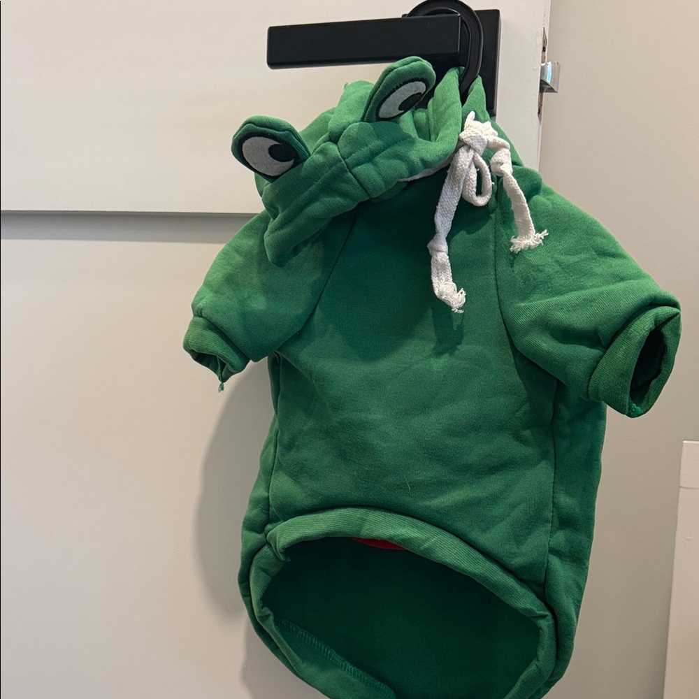 Frog sweatshirt